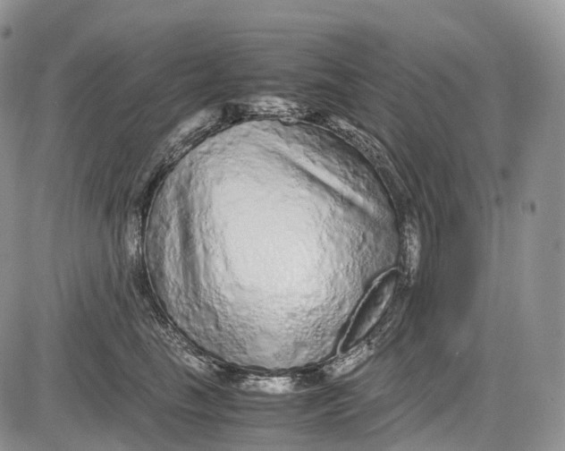 X0000081610665200702051355