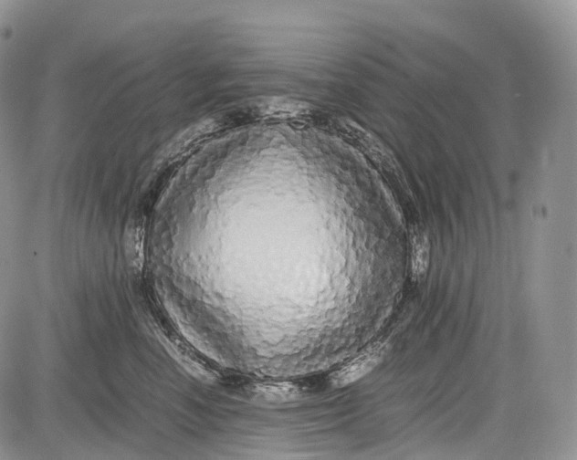 X0000081610666200702051356