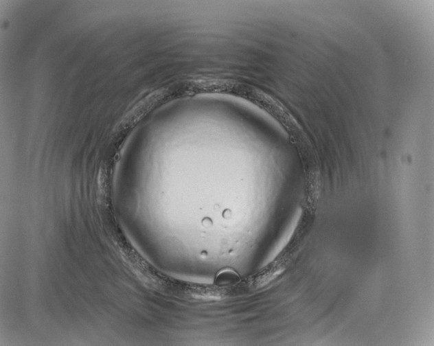 X0000081610667200702051356