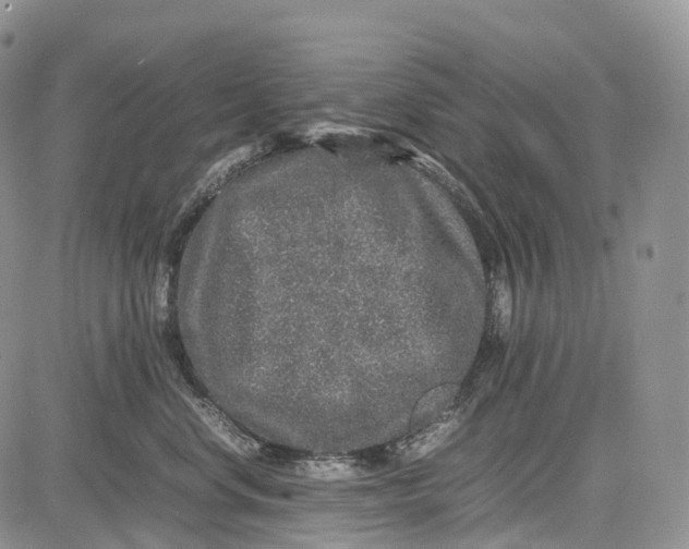 X0000081610668200702051356