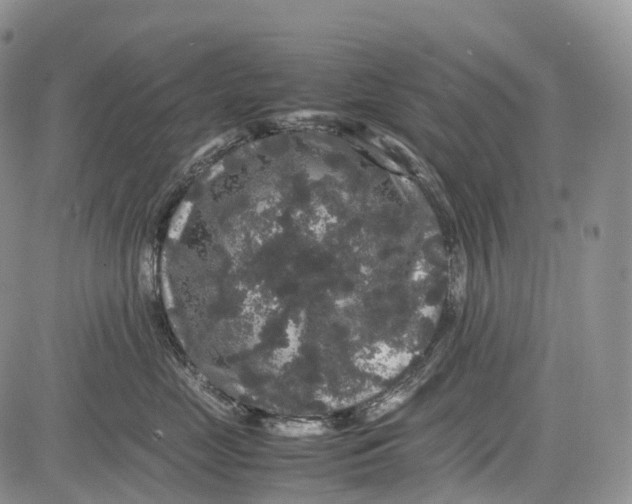 X0000081610669200702051356