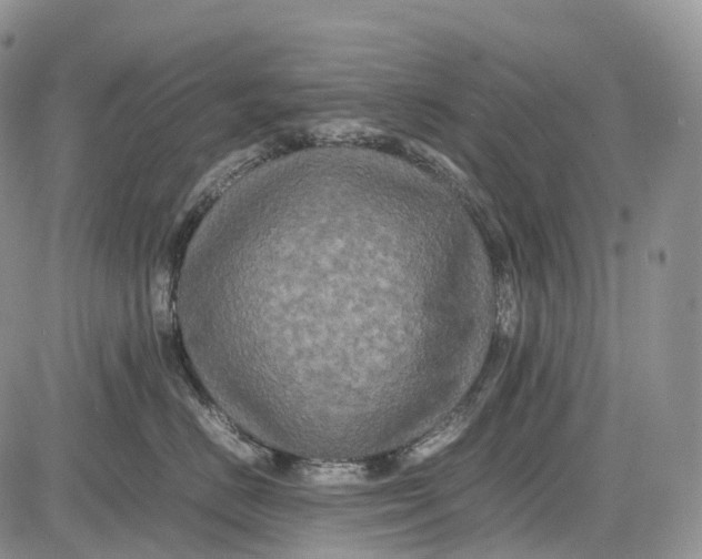 X0000081610670200702051356