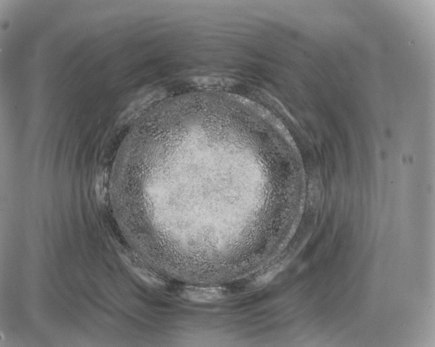 X0000081610671200702051356