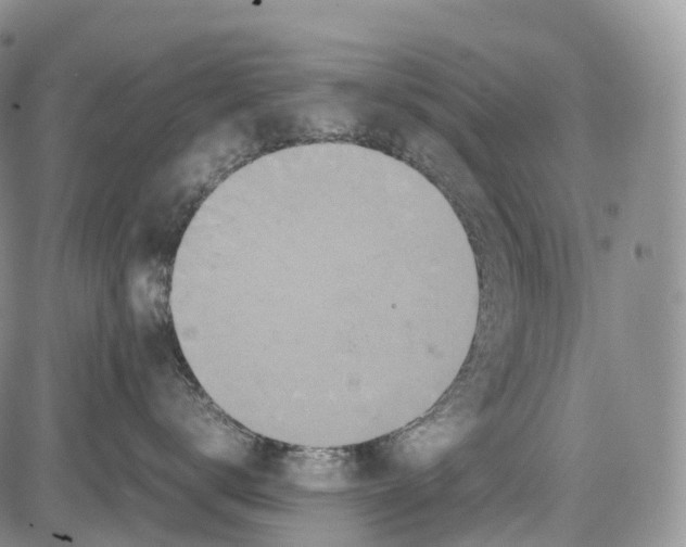 X0000081610672200702051356