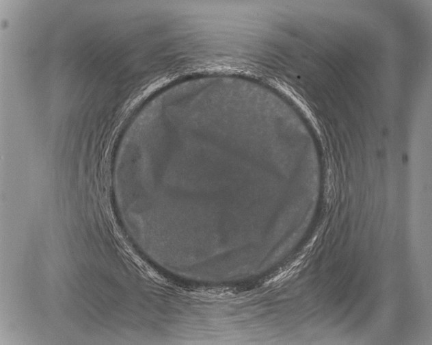 X0000081610673200702051355