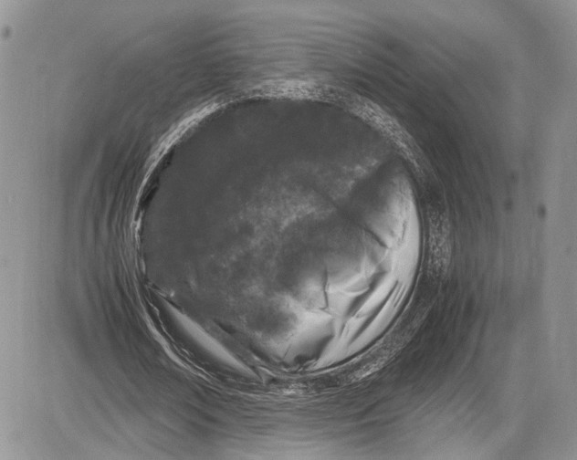 X0000081610674200702051355