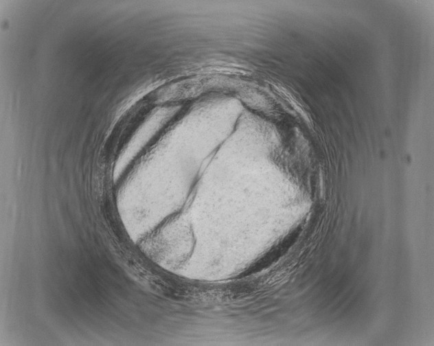 X0000081610675200702051355