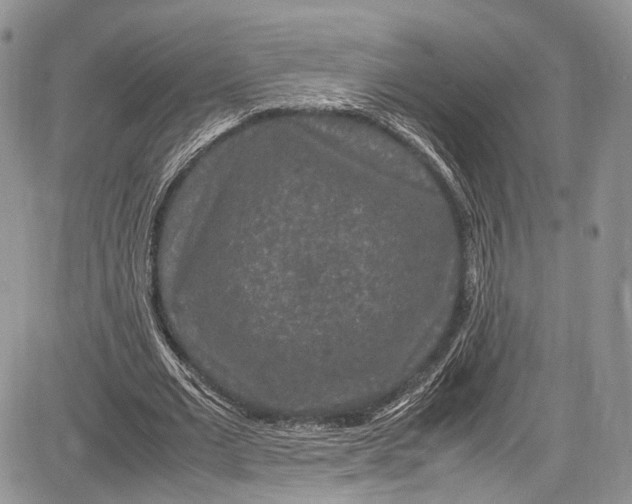 X0000081610677200702051355