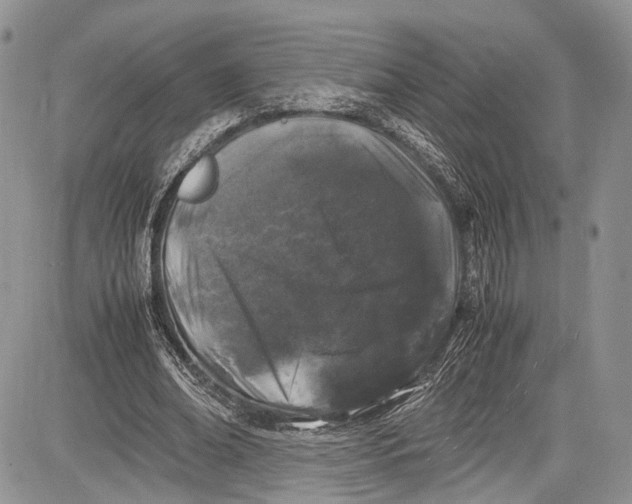 X0000081610678200702051355