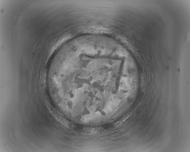 X0000081610679200702051355