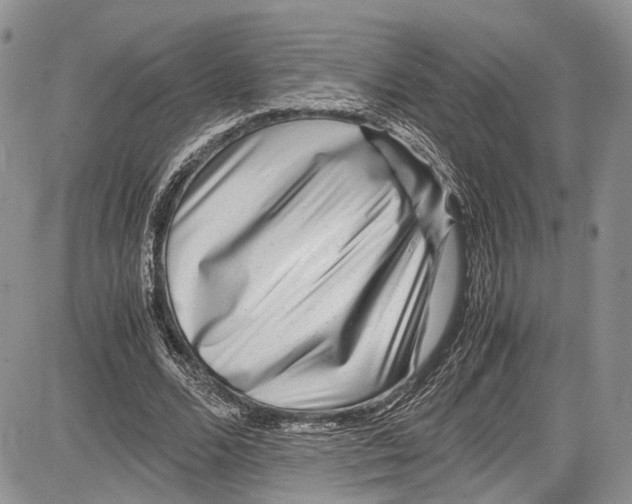 X0000081610680200702051355