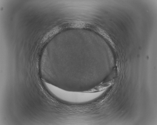 X0000081610681200702051355