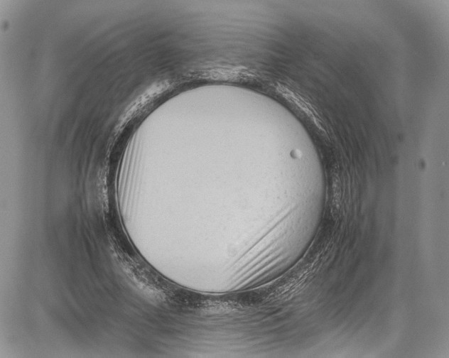 X0000081610682200702051355