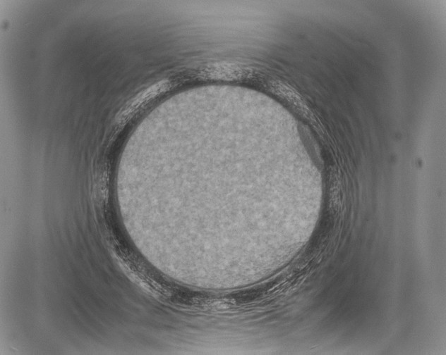 X0000081610683200702051355