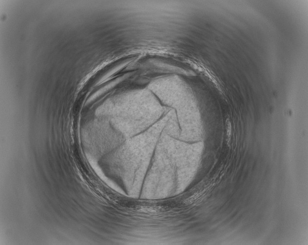 X0000081610684200702051355