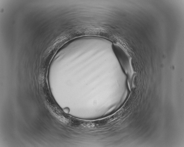 X0000081610687200702051355