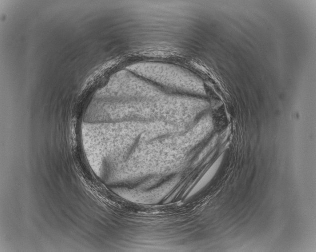 X0000081610688200702051355