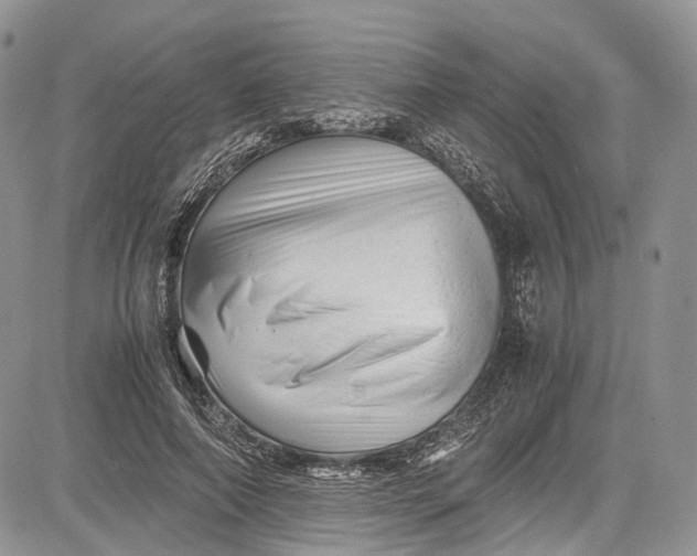 X0000081610690200702051355