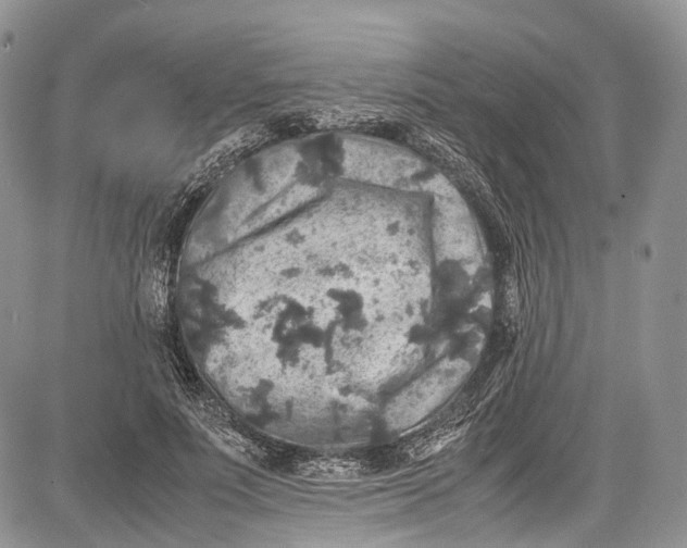 X0000081610691200702051355