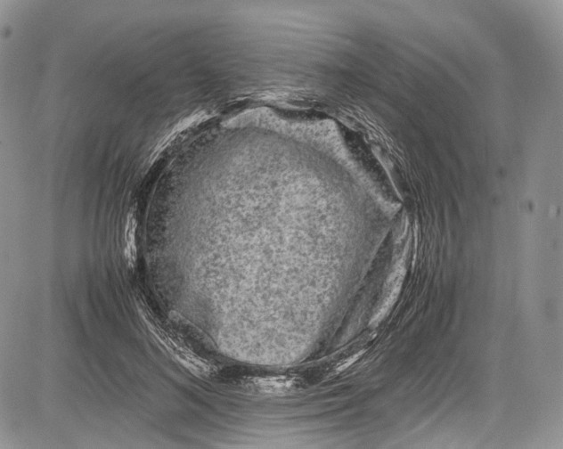 X0000081610692200702051355