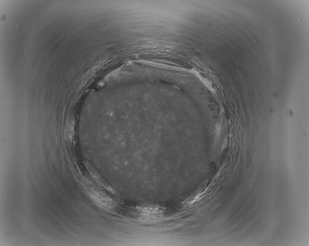 X0000081610693200702051354