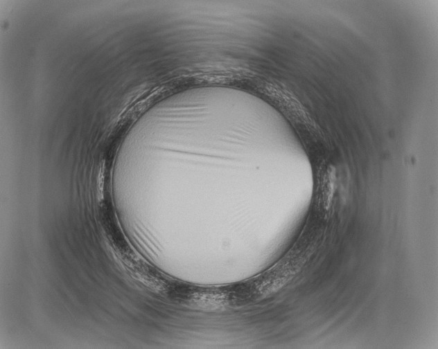 X0000081610694200702051354