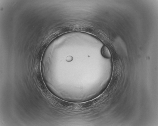 X0000081610695200702051354