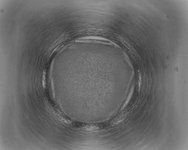 X0000081610696200702051354