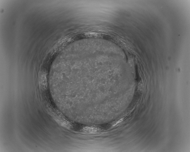 X0000081610699200702051354