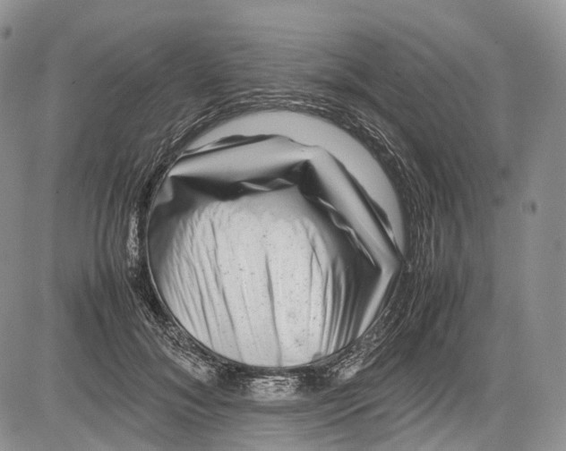 X0000081610700200702051354