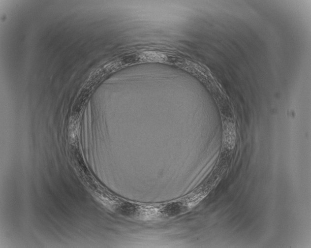 X0000081610701200702051354