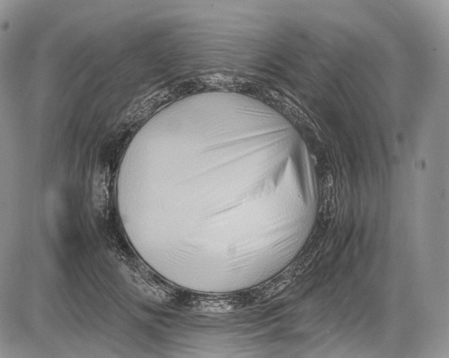 X0000081610702200702051354