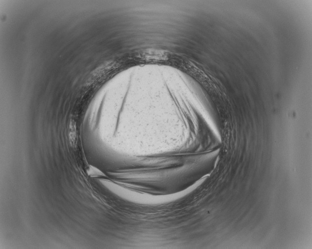 X0000081610704200702051354