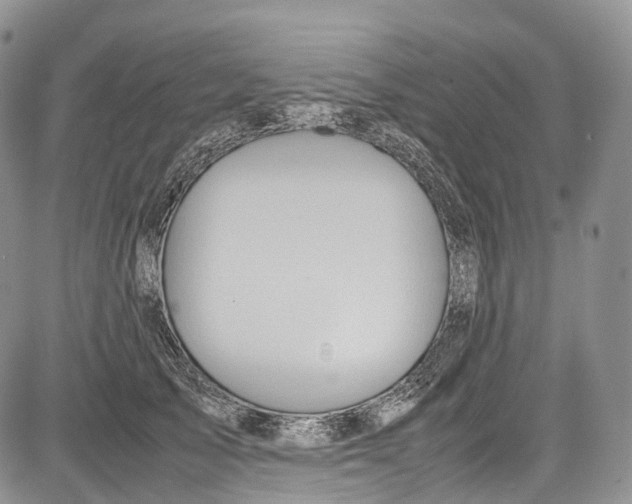 X0000081610705200702051354