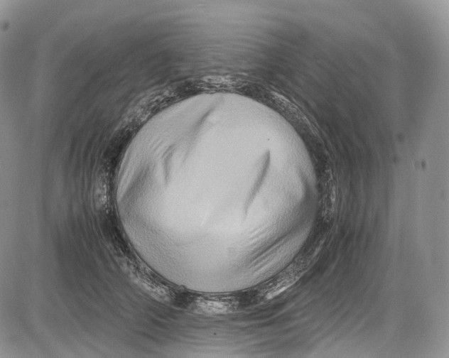 X0000081610706200702051354