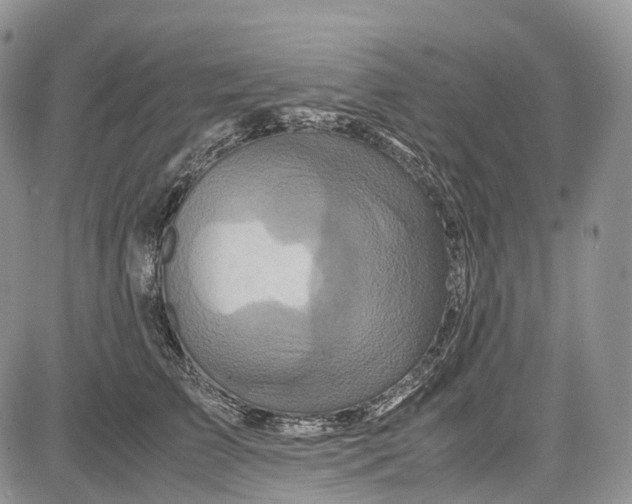 X0000081610709200702051354