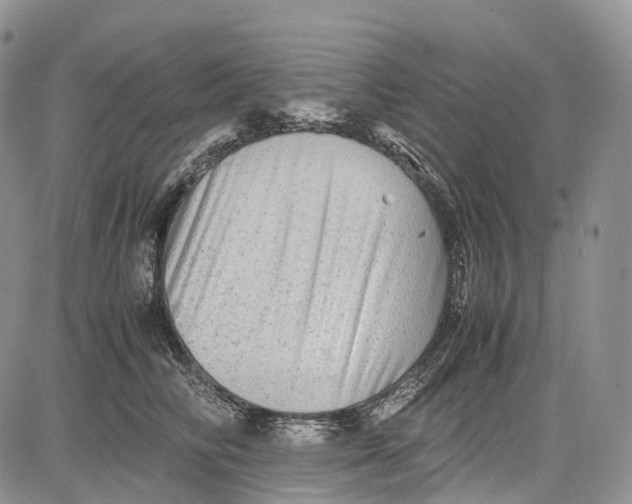 X0000081610710200702051354