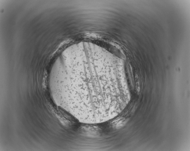 X0000081610712200702051354