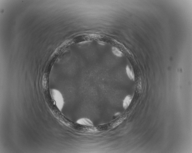 X0000081610715200702051354