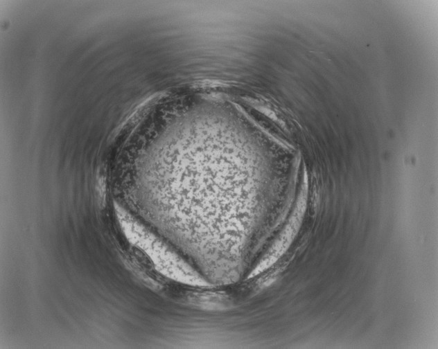 X0000081610716200702051354