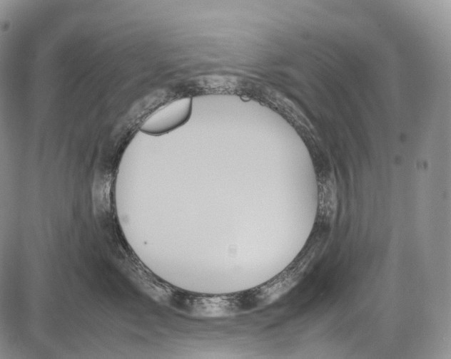 X0000081610717200702051354