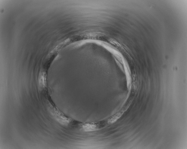 X0000081610718200702051354