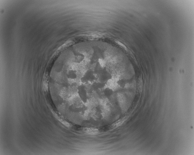 X0000081610719200702051354