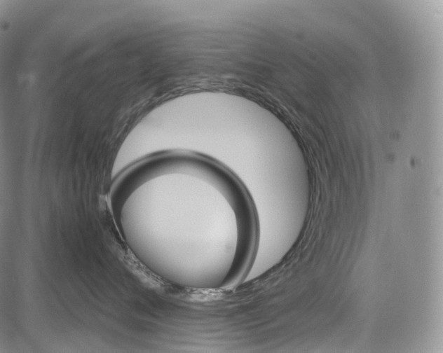 X0000081610720200702051354