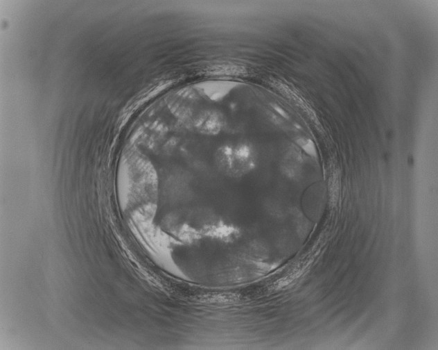 X0000081610721200702051353