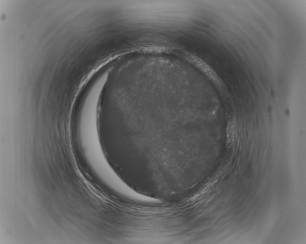 X0000081610722200702051353