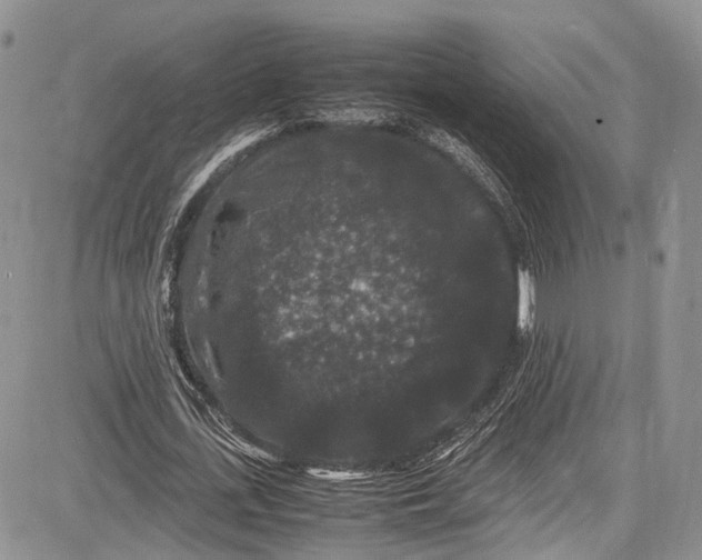 X0000081610723200702051353