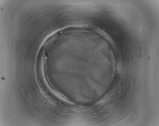 X0000081610724200702051353