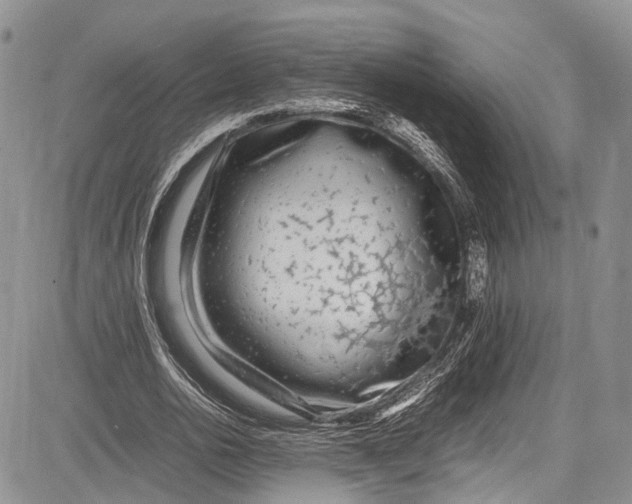 X0000081610726200702051353