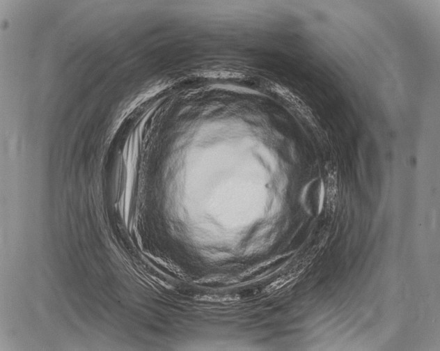 X0000081610727200702051353